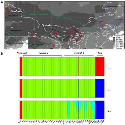 Genomic Adaptive Evolution of Sand Rice (Agriophyllum squarrosum) and Its Implications for Desert Ecosystem Restoration